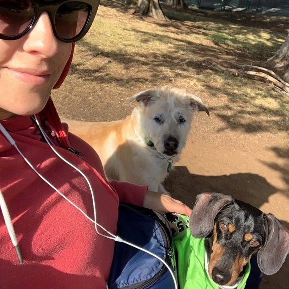 Meet your Posher, Nori - Picture 6 of 9